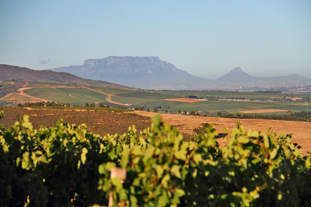 Muratie GP Canitz Cottage Stellenbosch Exterior foto